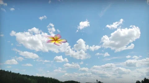 Floating Digital Flower Day to Night Stock Footage 47493596