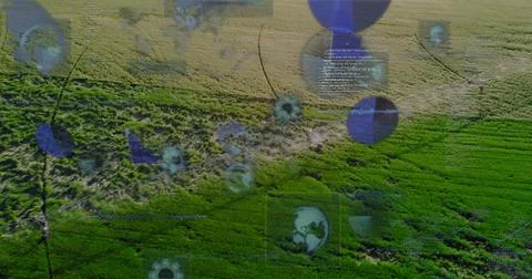 Floating digital overlay showing globe icons and code above green crops, dirt Foto stock