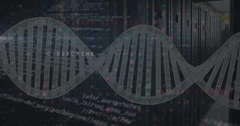 Floating DNA helix in data center aisle, showing server racks, Ethernet cables, Foto stock