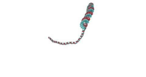 Floating DNA Segment Ball Structure 스톡 동영상 306536594