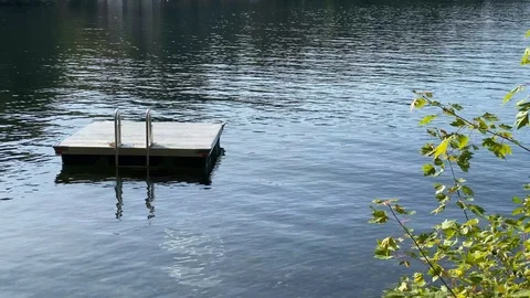 https://images.pond5.com/floating-dock-lake-during-summer-footage-118283923_iconl.jpeg