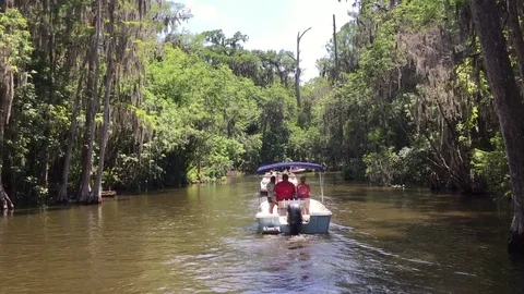 Floating down the Dora Canal in Central Florida Stock Footage 78580061