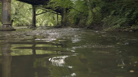 Floating down a flowing river Stock Footage 97873648