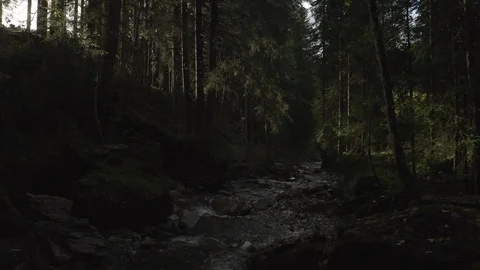 Floating Down Pine River - DJI Mavic Pro 2 - 4K - 23.98 fps - Megeve, FRA Stock Footage 122334758