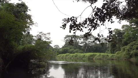 Floating down river Stock Footage 119291269