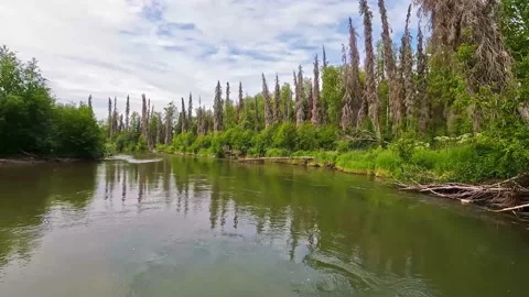 Floating down a river Stock Footage 203659566