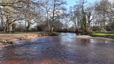 Floating down the river Stock Footage 266170408