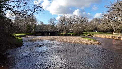 Floating down the river Stock Footage 266170918