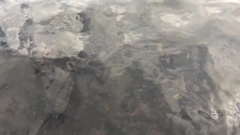 Floating down a river in Wales Stock Footage 113329479