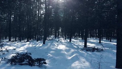 Floating Down Through Snowy Winter Forest Aerial Stock Footage 87889959