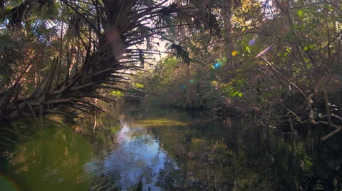 Floating Down a Tropical Spring 스톡 동영상 58188712