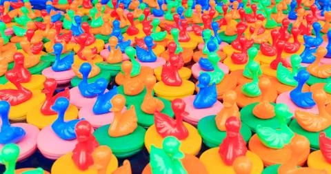 Floating ducks Stock Photos