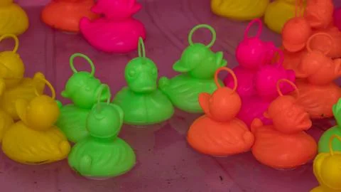 Floating ducks Stockfoto's