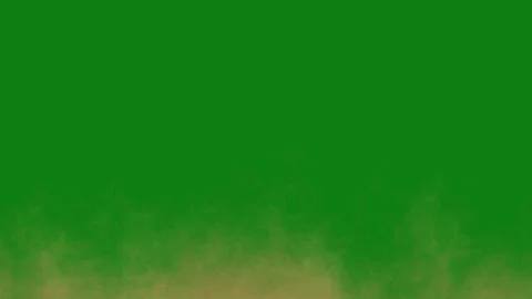 Floating Dust FX Green Background Stock Footage 306035451