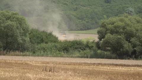 Floating dust over a wheat field Stock-Footage 257548129