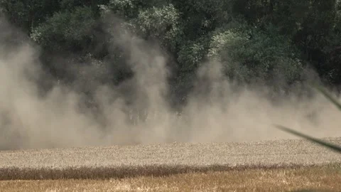 Floating dust over a wheat field Stock Footage 257549814