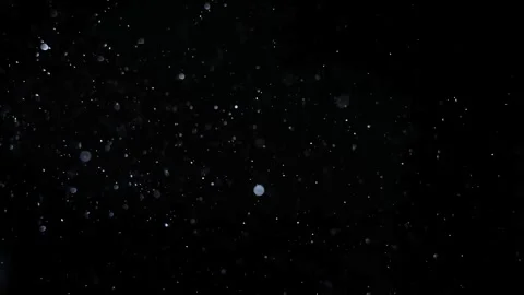 Floating Dust Particle Lights, Abstract Particle Wave Motion Background Stock Footage 313863362