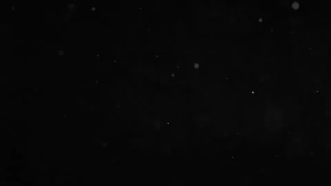 Floating Dust Particles and Bokeh Lights Floating on Black Background Stock Footage 341261938