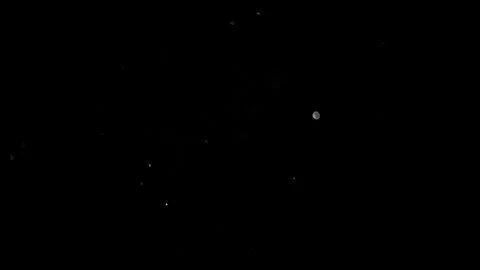 Floating Dust Particles On Black Background. Shimmering Glittering Particles Vidéo 154747997