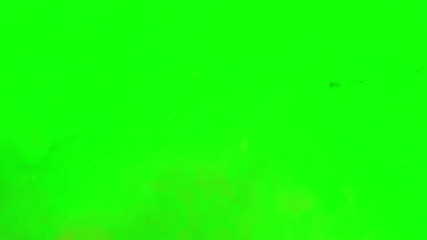 Floating Dust Particles Drifting Over A Bright Green Screen Background With Video stock 339123471