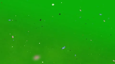 Floating Dust Particles Drifting Over a Solid Green Screen Background for Video stock 339123503
