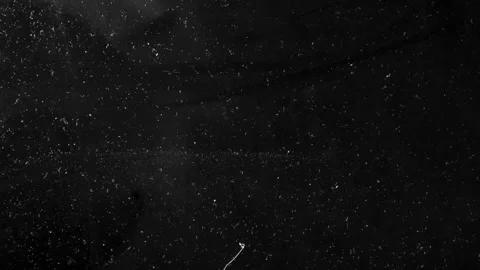 Floating Dust Particles Overlay on Black Background with Subtle Motion for Stock Footage 327968934