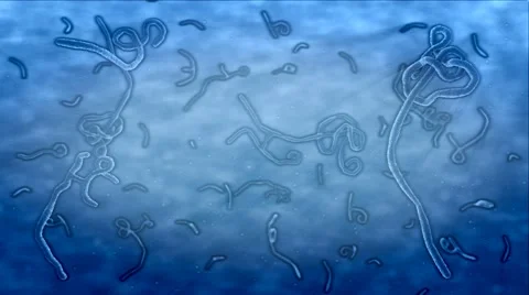 Floating Ebola Stock Footage 42466933