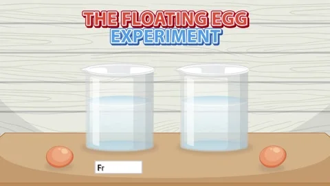 Floating egg experiment shows difference between fresh water and salt water. Stock Footage 333466613