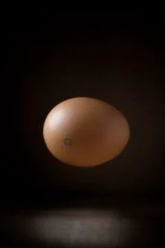 Floating egg Foto stock