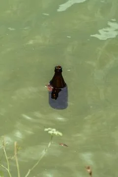 Floating Empty Beer Bottle Stock Photos