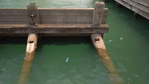 Floating empty water bottles at Sydney Harbour. Mild environmental Stockbeeldmateriaal 124529468