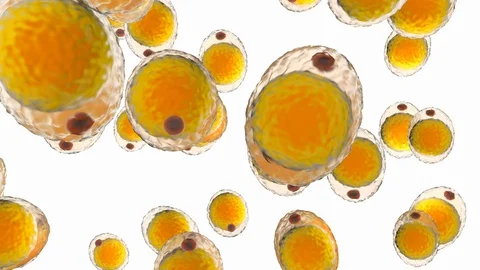 Floating Fat cells isolated on white Vídeos de archivo 129779699