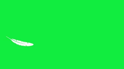 Floating feather chroma key visual bright green background, white plume, and emp Stock Footage 340575699
