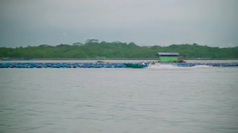Floating Fish Farm Stock Footage 158498057