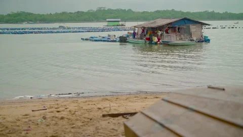Floating Fish Farm Stock Footage 158500791