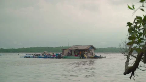 Floating Fish Farm Stock Footage 158500929