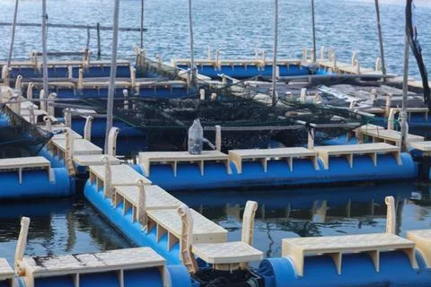Floating Fish Farm Pontoon Platform System on Coastal Water Foto stock