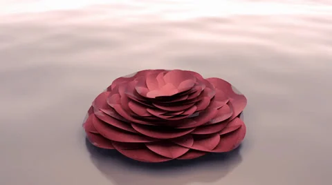 Floating Flower 스톡 동영상 37522371