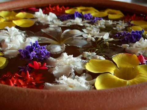 Floating flowers Stock-Fotos