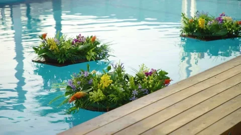 Floating flowers in the pool Video stock 157679374