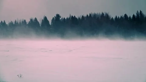 Floating Flurries: Slow Motion Snow Drifts in a Sunny Landscape Stock Footage 303175921