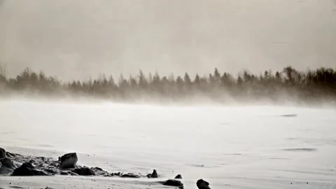 Floating Flurries: Slow Motion Snow Drifts in a Sunny Landscape Stock Footage 303177925