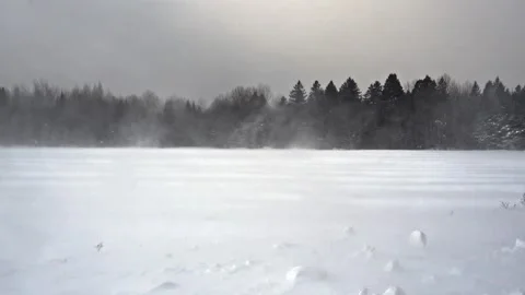 Floating Flurries: Slow Motion Snow Drifts in a Sunny Landscape Stock Footage 303178418