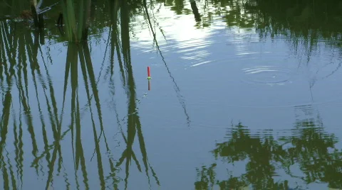 Floating Видео 524404