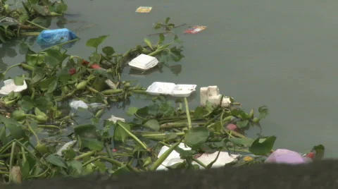 Floating Garbage Close Up Video stock 311564