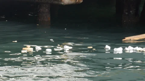 FLOATING GARBAGE - floating cups of coffee garbage in harbor Stock Footage 34626865