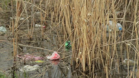 Floating garbage / Illegal dump Stock-Footage 51313515