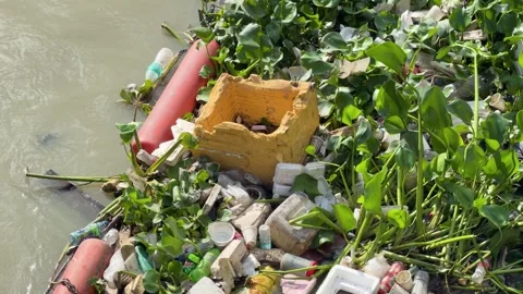 Floating garbage patch with water hyacinth and plastic waste polluting rive.. Stock Footage 333320280