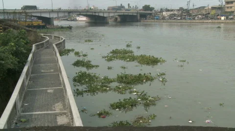 Floating Garbage Wide Shot Video stock 311493