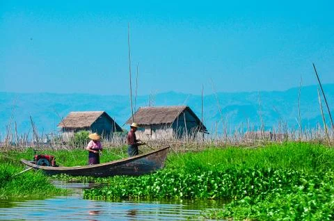 Floating garden in Myanmar Stock Photos